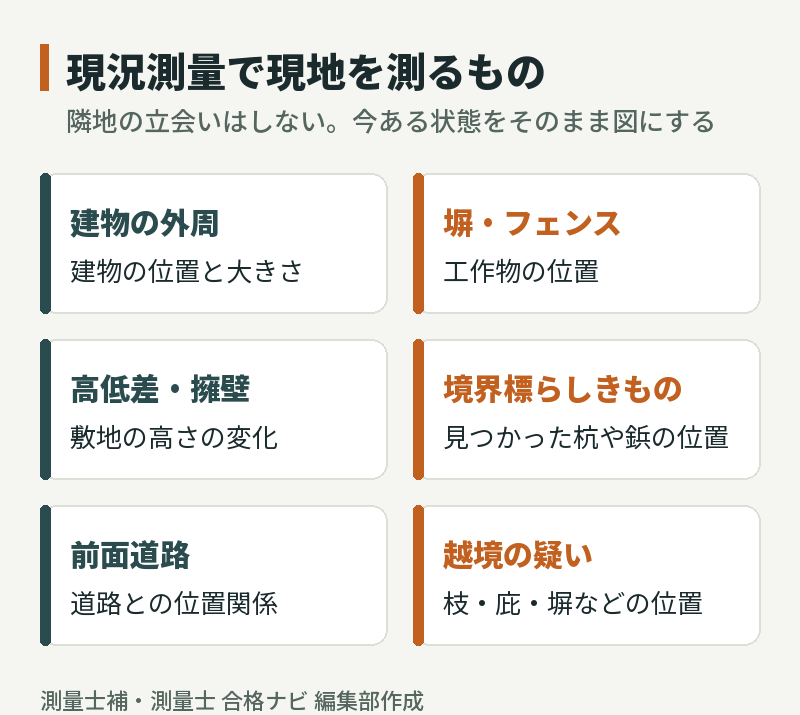 現況測量で現地を測るもの:建物の外周、塀・フェンス、高低差・擁壁、境界標らしきもの、前面道路、越境の疑い